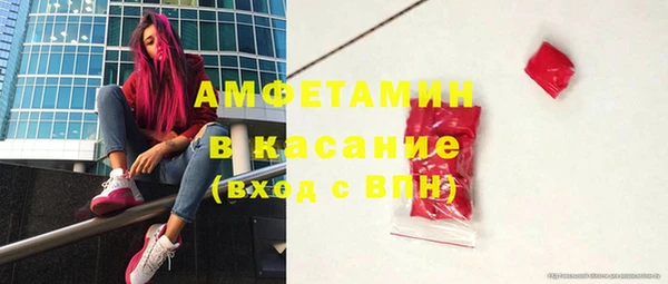 индика Аркадак