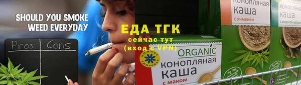 индика Аркадак