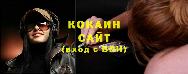индика Аркадак
