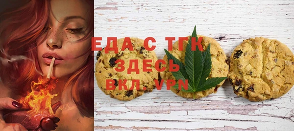 индика Аркадак