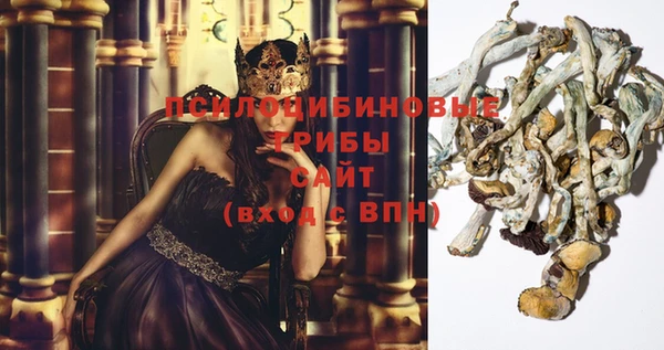 индика Аркадак