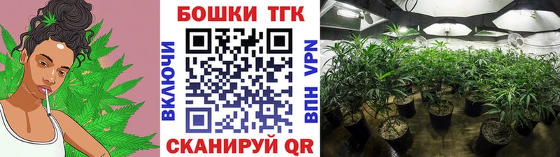 Бошки марихуана Amnesia  где купить наркотик  Тарко-Сале 